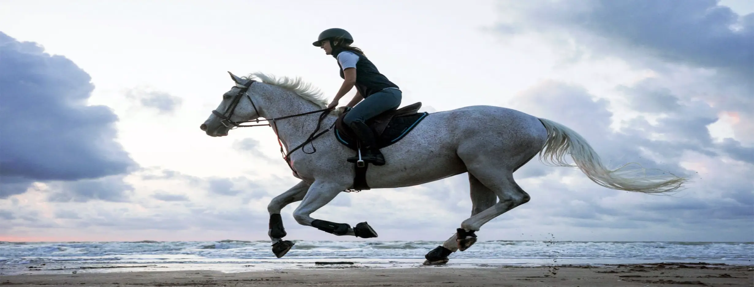 Image for Horseback Riding